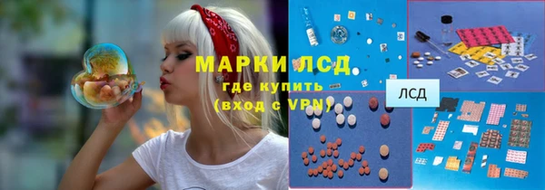 стафф Алзамай