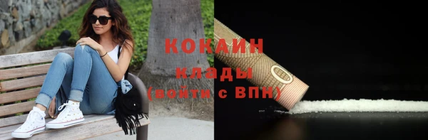 стафф Алзамай