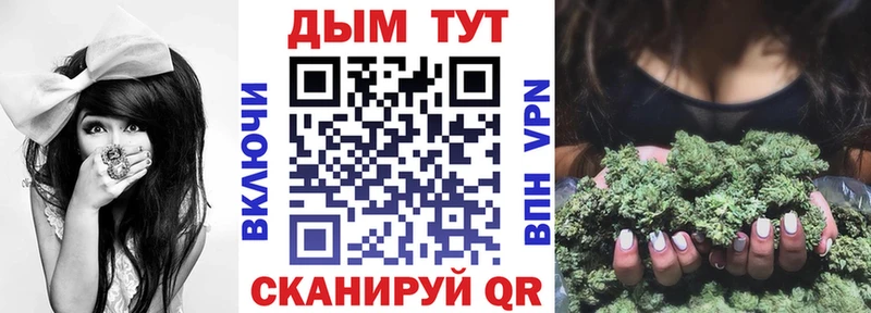 Конопля SATIVA & INDICA  blacksprut ссылка  Жиздра 